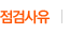 점검사유